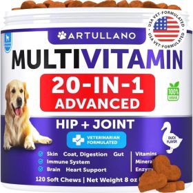 Dog Multivitamin Chewable With Glucosamine 20 In 1 Dog Vitamins And Supplements Senior & Puppy Multivitamin For Dogs Pet Jo (Option: Artullano)